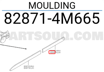Nissan 828714M665 MOULDING