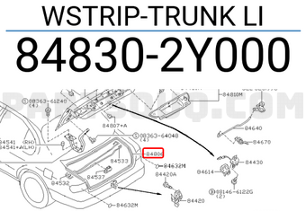 Nissan 848302Y000 WSTRIP-TRUNK LI
