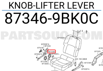 Nissan 873469BK0C KNOB-LIFTER LEVER