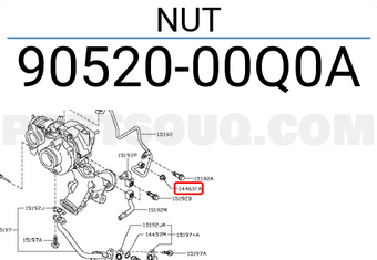 Nissan 9052000Q0A NUT