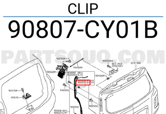 Nissan 90807CY01B CLIP