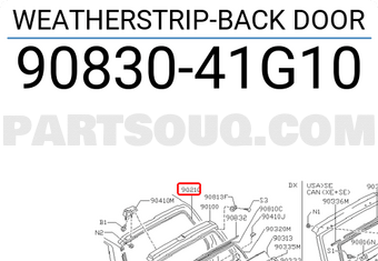 Nissan 9083041G10 WEATHERSTRIP-BACK DOOR