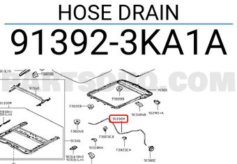 Nissan 913923KA1A HOSE DRAIN