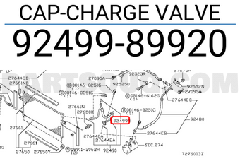 Nissan 9249989920 CAP-CHARGE VALVE