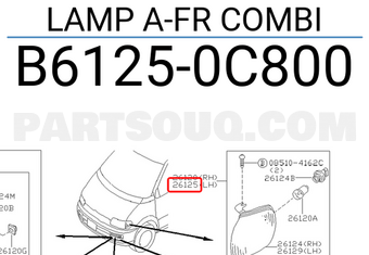 Nissan B61250C800 LAMP A-FR COMBI
