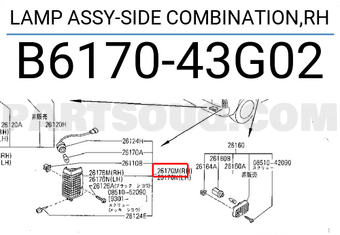 Nissan B617043G02 LAMP ASSY-SIDE COMBINATION,RH