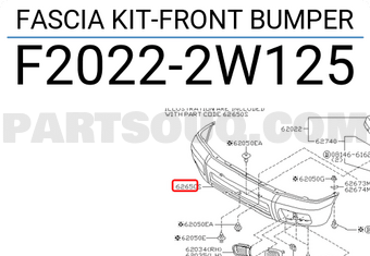 Nissan F20222W125 FASCIA KIT-FRONT BUMPER