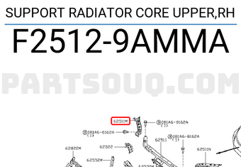 Nissan F25129AMMA SUPPORT RADIATOR CORE UPPER,RH