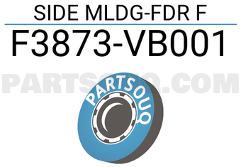 Nissan F3873VB001 SIDE MLDG-FDR F