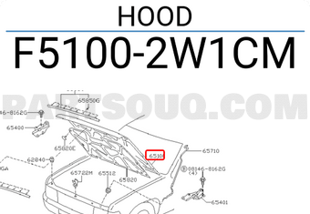 Nissan F51002W1CM HOOD