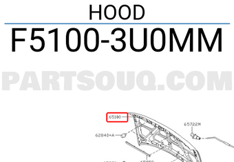Nissan F51003U0MM HOOD