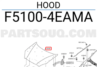 Nissan F51004EAMA HOOD