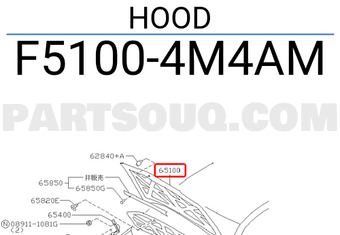 Nissan F51004M4AM HOOD