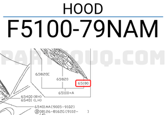 Nissan F510079NAM HOOD