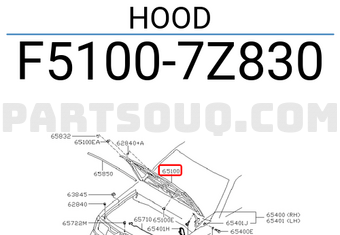Nissan F51007Z830 HOOD