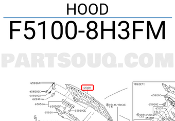 Nissan F51008H3FM HOOD