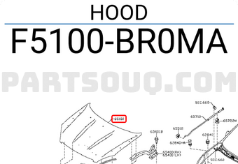 Nissan F5100BR0MA HOOD
