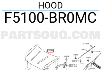 Nissan F5100BR0MC HOOD