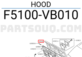 Nissan F5100VB010 HOOD