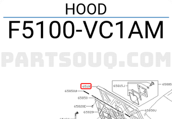 Nissan F5100VC1AM HOOD
