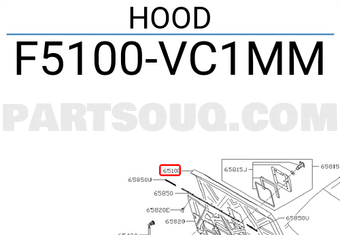 Nissan F5100VC1MM HOOD