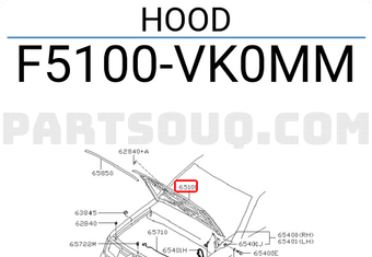 Nissan F5100VK0MM HOOD