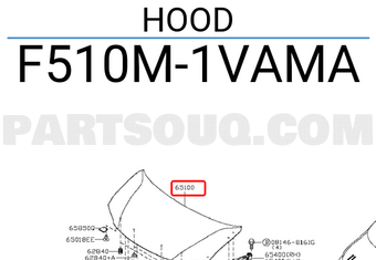 Nissan F510M1VAMA HOOD