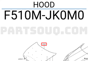 Nissan F510MJK0M0 HOOD