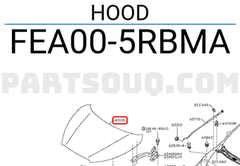 Nissan FEA005RBMA HOOD