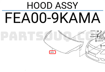 Nissan FEA009KAMA HOOD ASSY