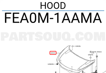 Nissan FEA0M1AAMA HOOD