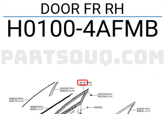 Nissan H01004AFMB DOOR FR RH