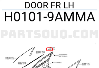 Nissan H01019AMMA DOOR FR LH