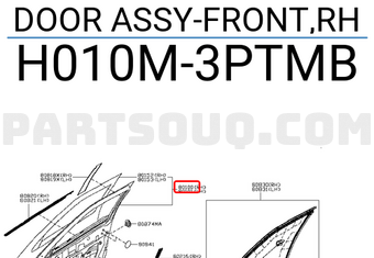 Nissan H010M3PTMB DOOR ASSY-FRONT,RH