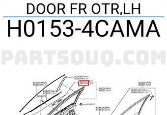 Nissan H01534CAMA DOOR FR OTR,LH