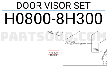 Nissan H08008H300 DOOR VISOR SET