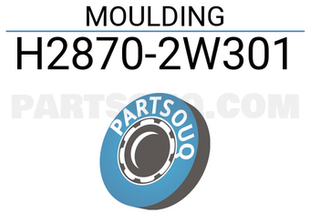 Nissan H28702W301 MOULDING