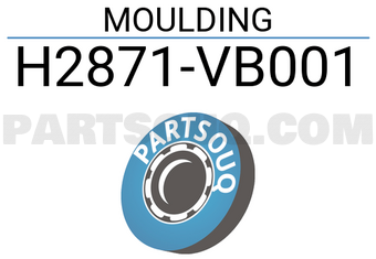 Nissan H2871VB001 MOULDING