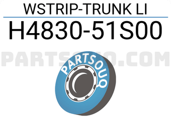 Nissan H483051S00 WSTRIP-TRUNK LI