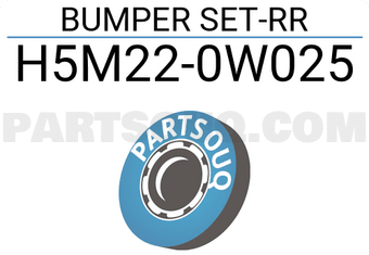 Nissan H5M220W025 BUMPER SET-RR