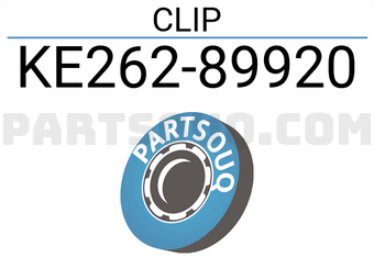 Nissan KE26289920 CLIP