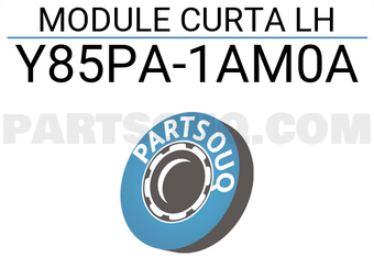 Nissan Y85PA1AM0A MODULE CURTA LH