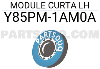 Nissan Y85PM1AM0A MODULE CURTA LH