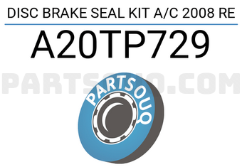RBI A20TP729 DISC BRAKE SEAL KIT A/C 2008 RE