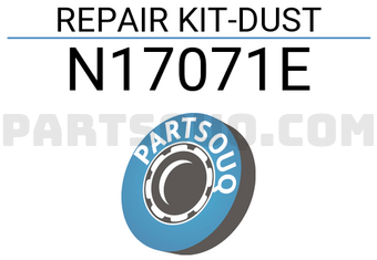 RBI N17071E REPAIR KIT-DUST