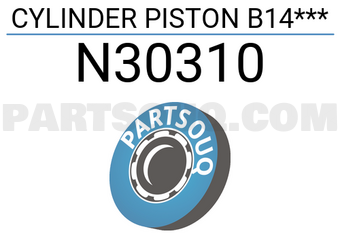 RBI N30310 CYLINDER PISTON B14***