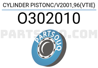 RBI O302010 CYLINDER PISTONC/V2001,96(VTIE)