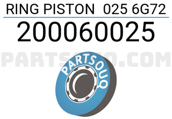 RIK 200060025 RING PISTON 025 6G72