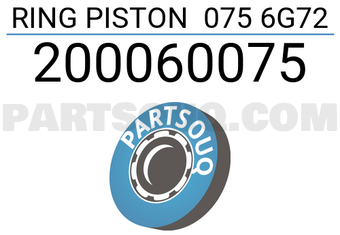 RIK 200060075 RING PISTON 075 6G72