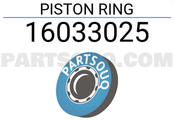 RIKEN 16033025 PISTON RING